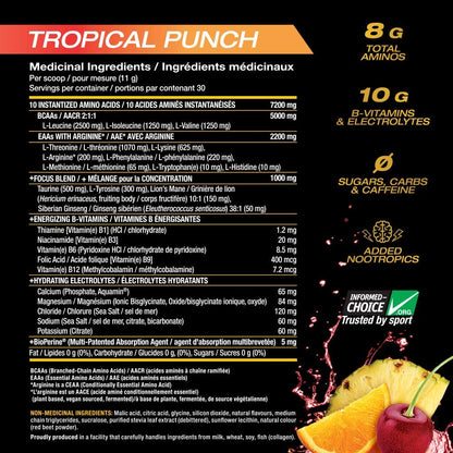 PVL EAA + BCAA COMPLETE – 330 g (30 servings) (gmc importer)